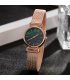 CW062 - Korean fashion women's quartz watch Gift Set